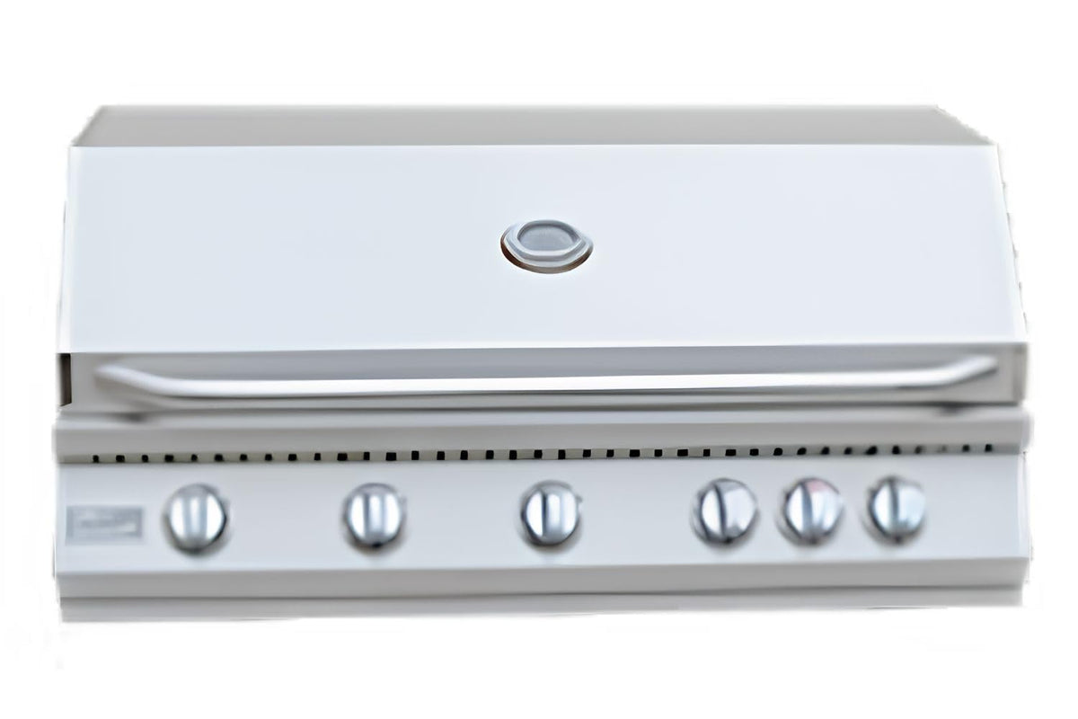 5 Burner Built-In Stainless Steel Propane Gas Grill with Back Burner Q18586