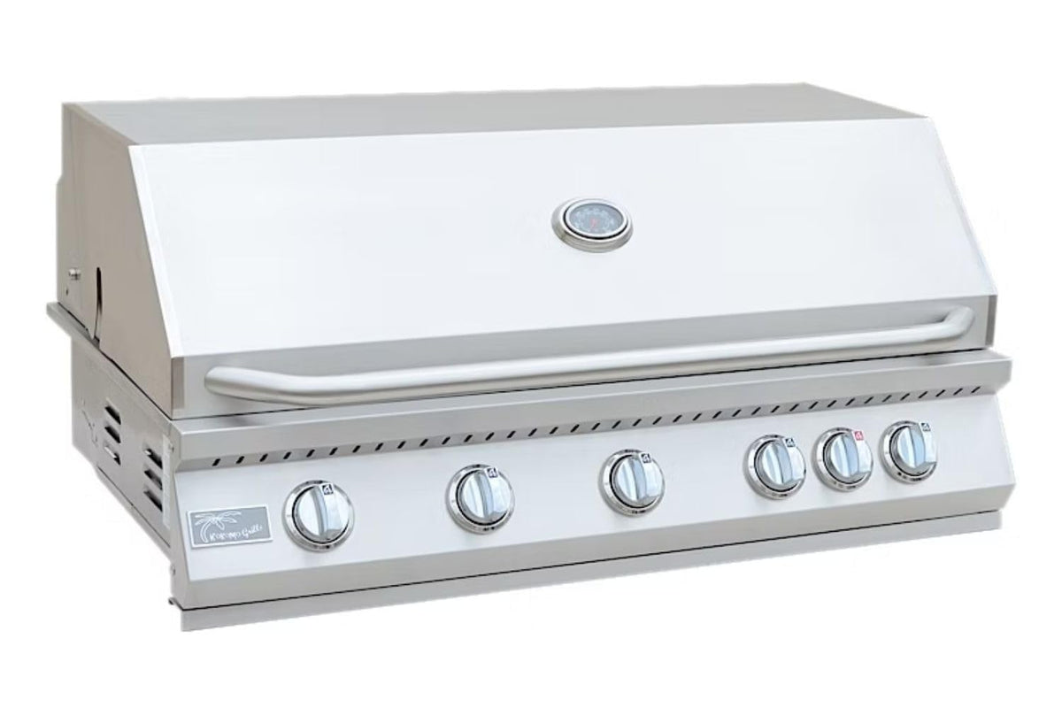 5 Burner Built-In Stainless Steel Propane Gas Grill with Back Burner Q18586