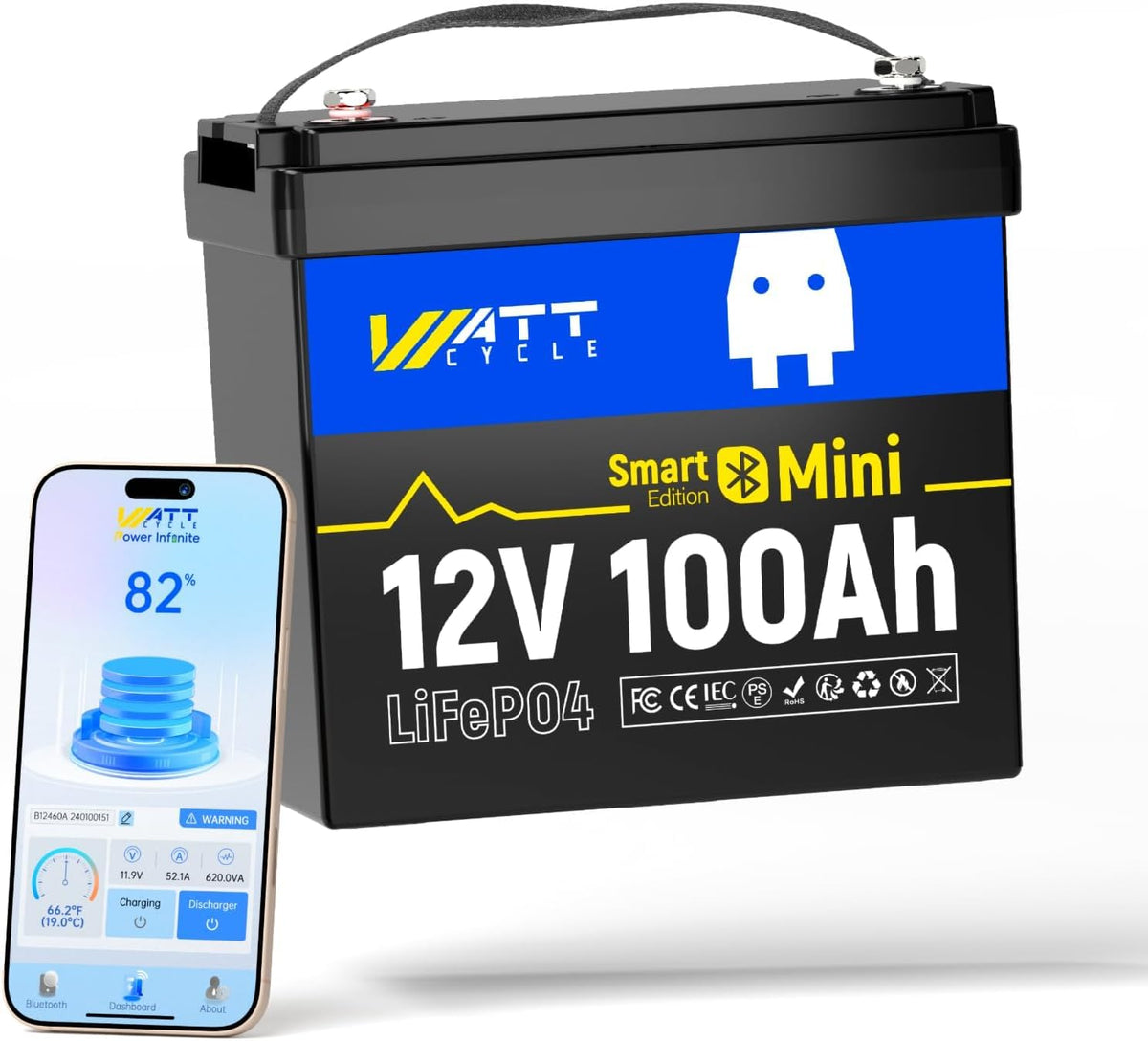 12V 100Ah Mini LiFePO4 Battery Group 24 O550261