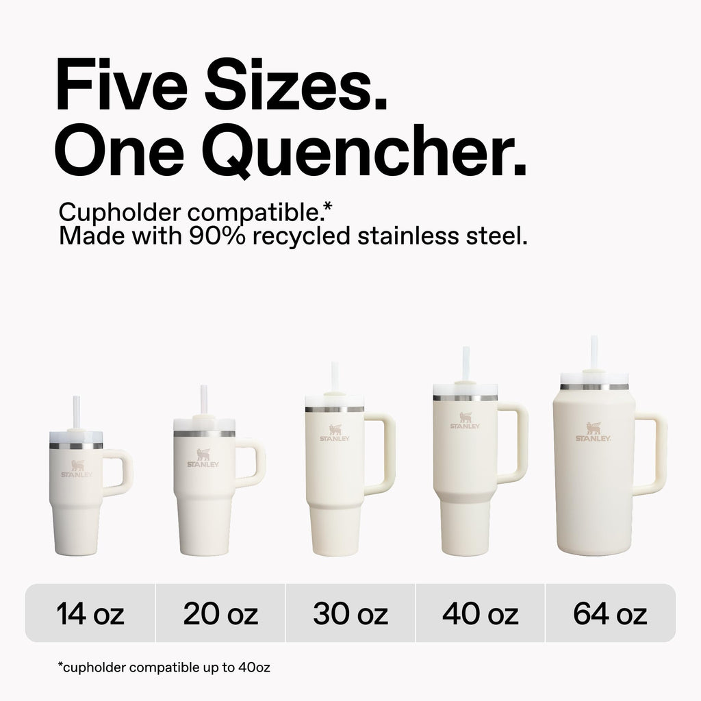 20 oz Tumbler V301036
