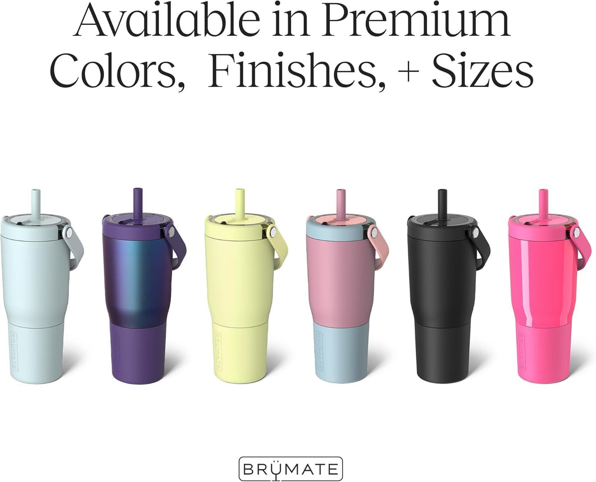 25oz Leakproof Stainless Steel Travel Tumbler with Handle & Straw M2861