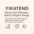 Elevated Stainless Steel Cat and Dog Bowl Set D3614