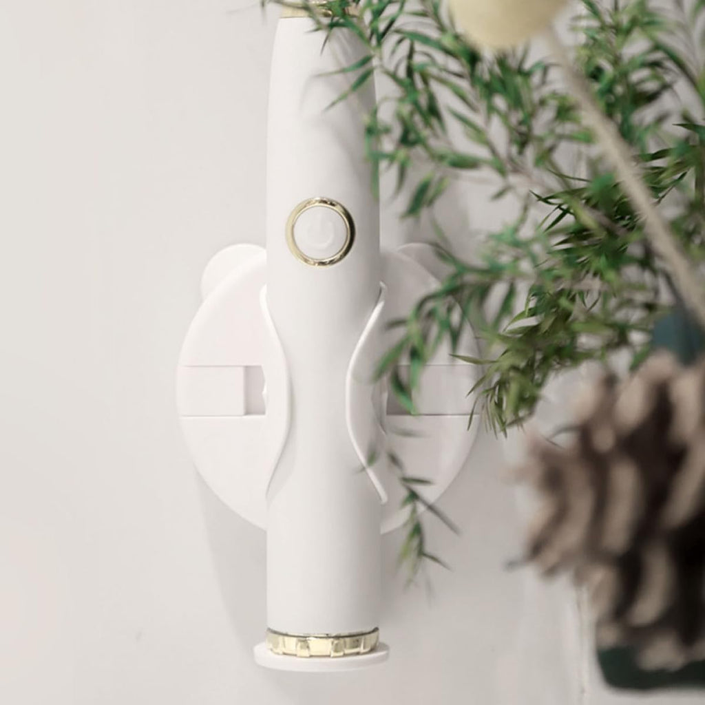 Wall Mounted Electric Toothbrush Rack W3019