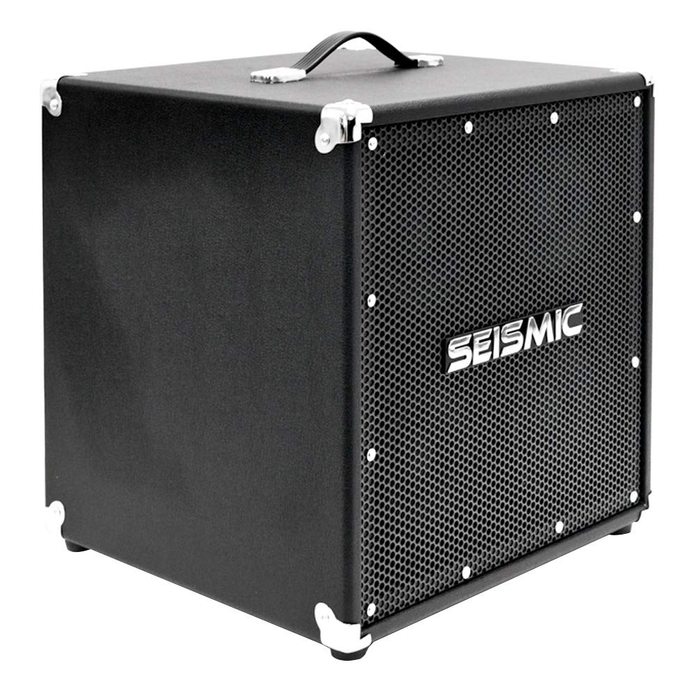 4x6 Bass Guitar Speaker Cabinet D541