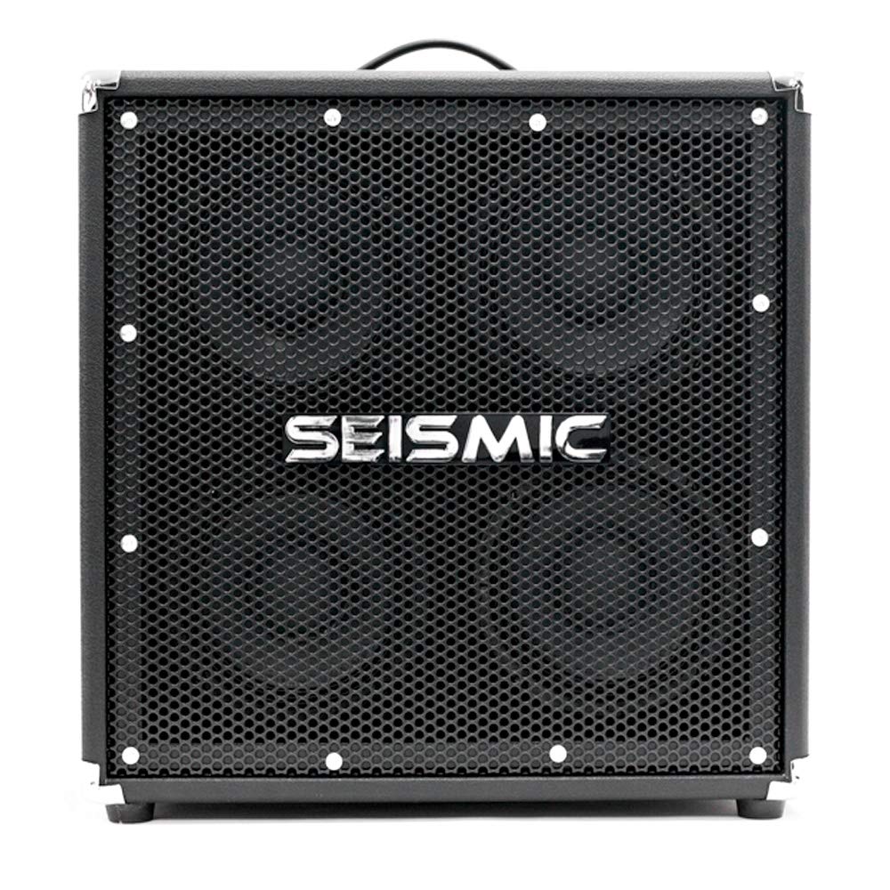 4x6 Bass Guitar Speaker Cabinet D541
