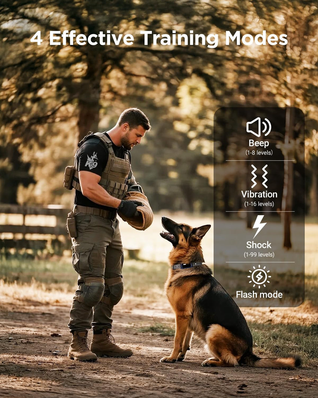 2 Dogs Dog Training Collar with Remote, 4 Training Modes, IP67 Waterproof T7915