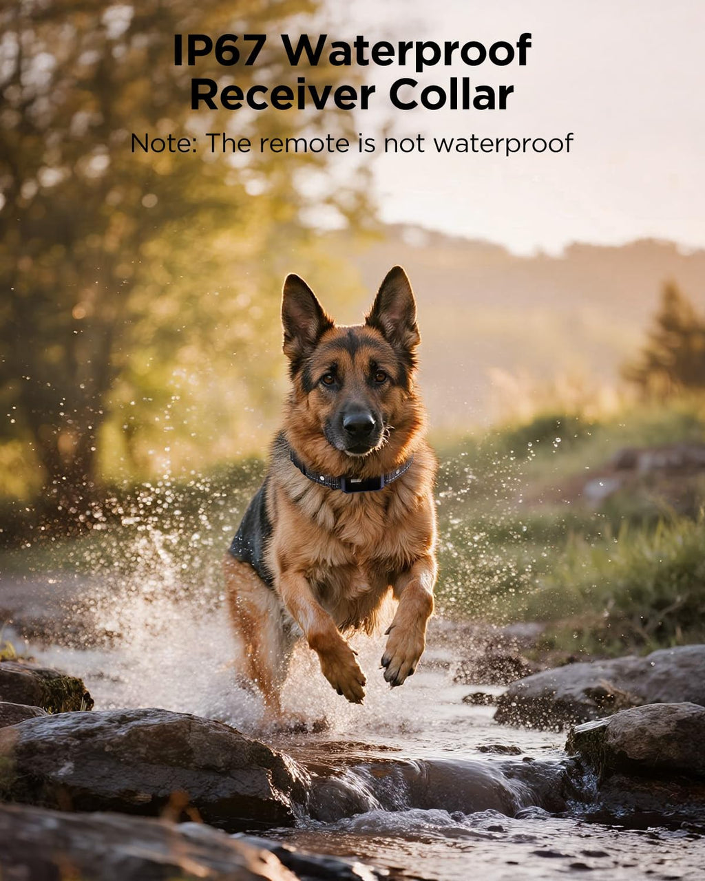 2 Dogs Dog Training Collar with Remote, 4 Training Modes, IP67 Waterproof T7915
