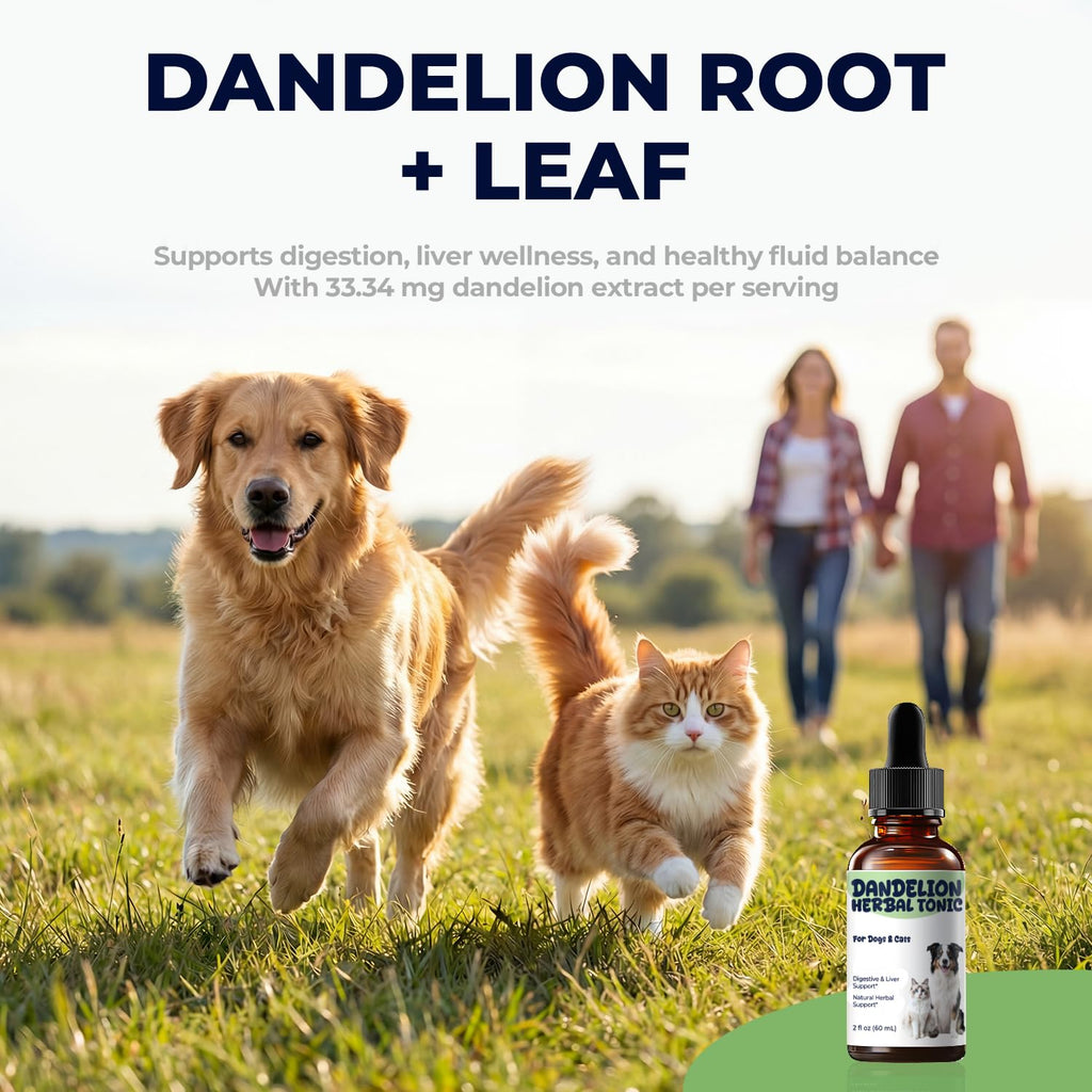 Dandelion Root & Leaf Extract Drops D60972
