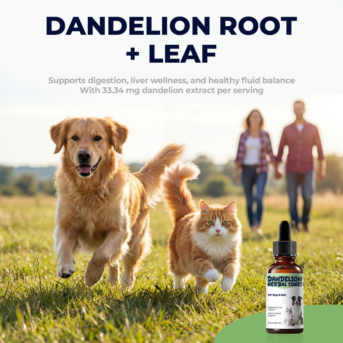 Dandelion Root & Leaf Extract Drops D60972