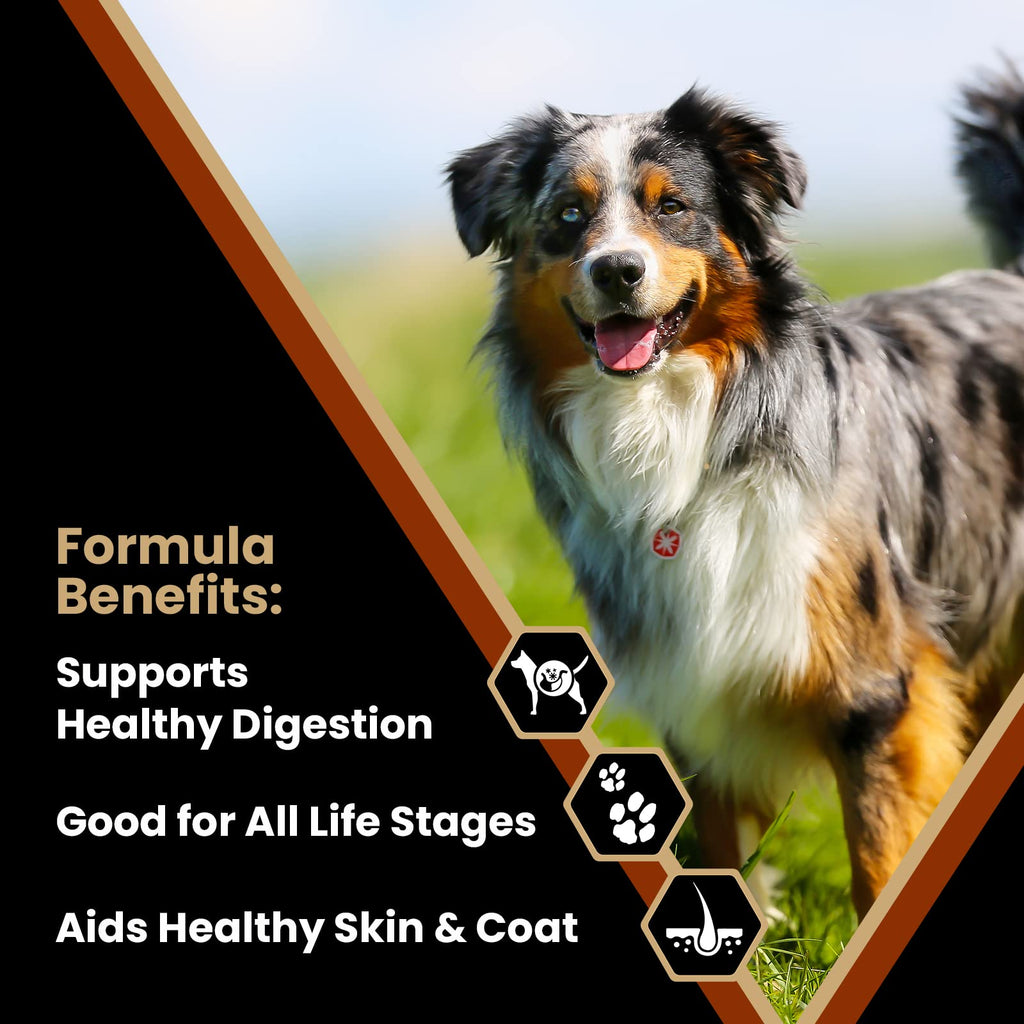 Chicken Meal & Brown Rice Formula Dry Dog Food, 40 lb E18624