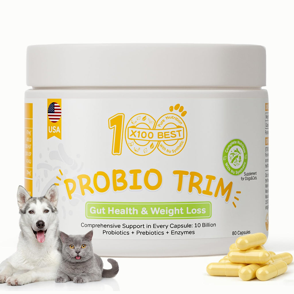 Probiotics for Dogs and Cats G6753