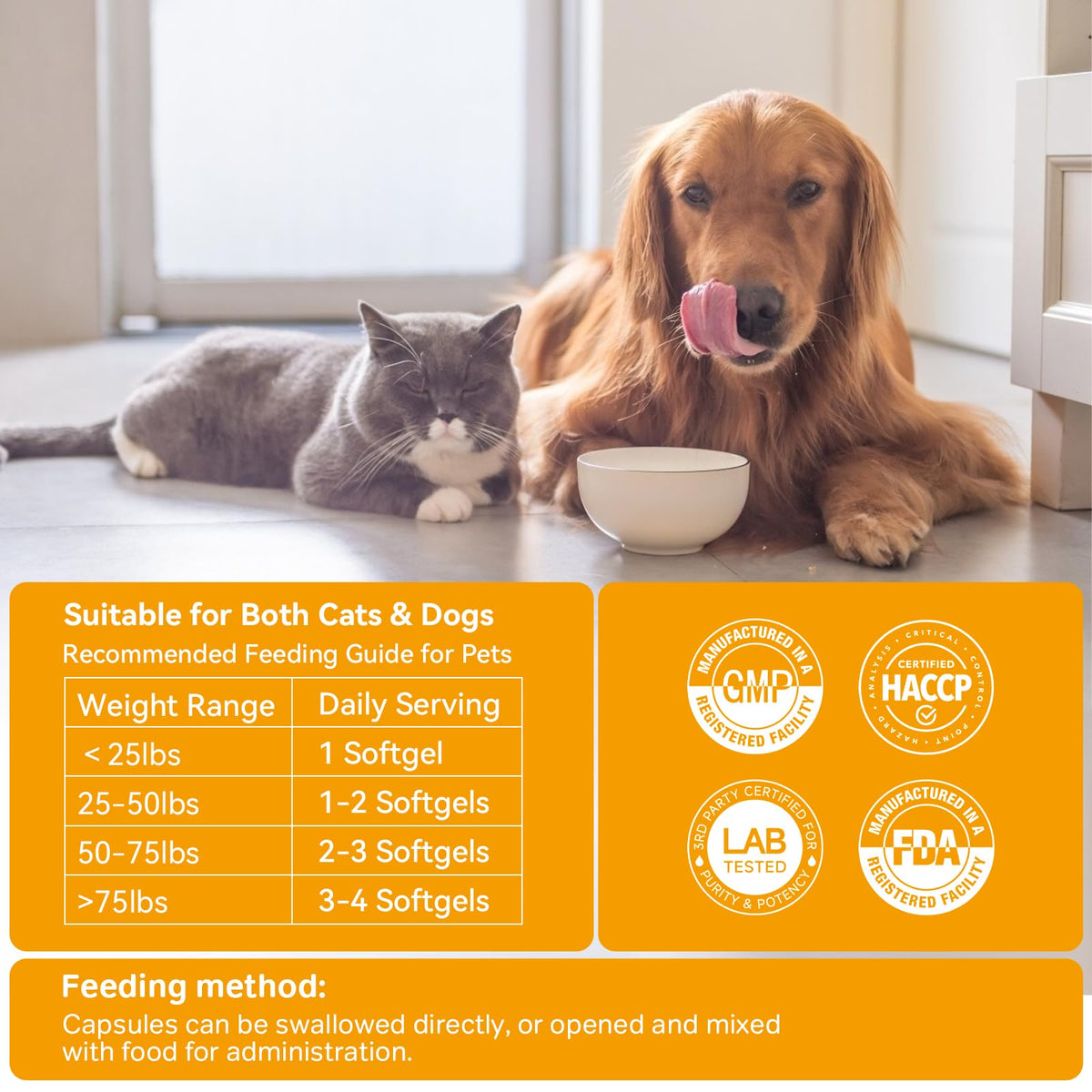 Probiotics for Dogs and Cats G6753