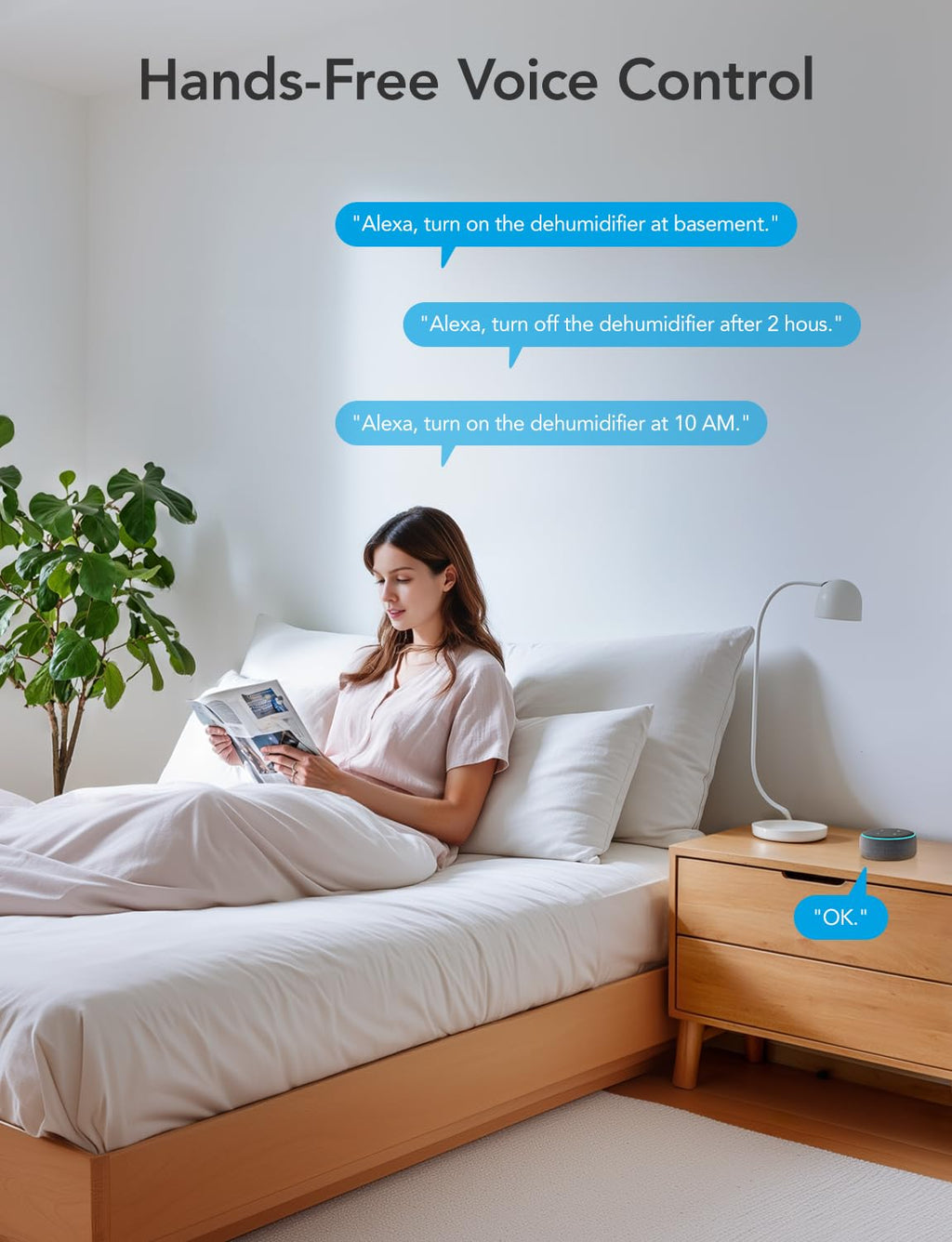 Dehumidifier with Air Purifier O433