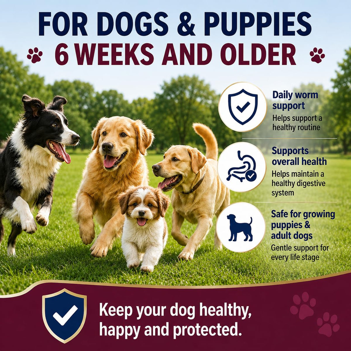 Dewormer for Dogs, 50 Tablets E9920