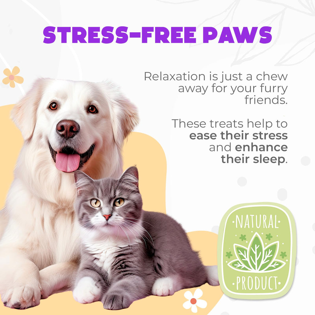 Chicken Flavor 60 Count Calming Chews for Dogs T356873