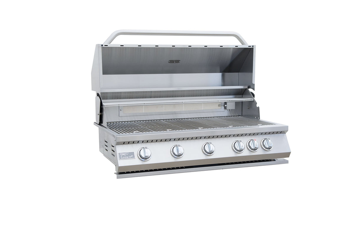 5 Burner Built-In Stainless Steel Propane Gas Grill with Back Burner Q18586