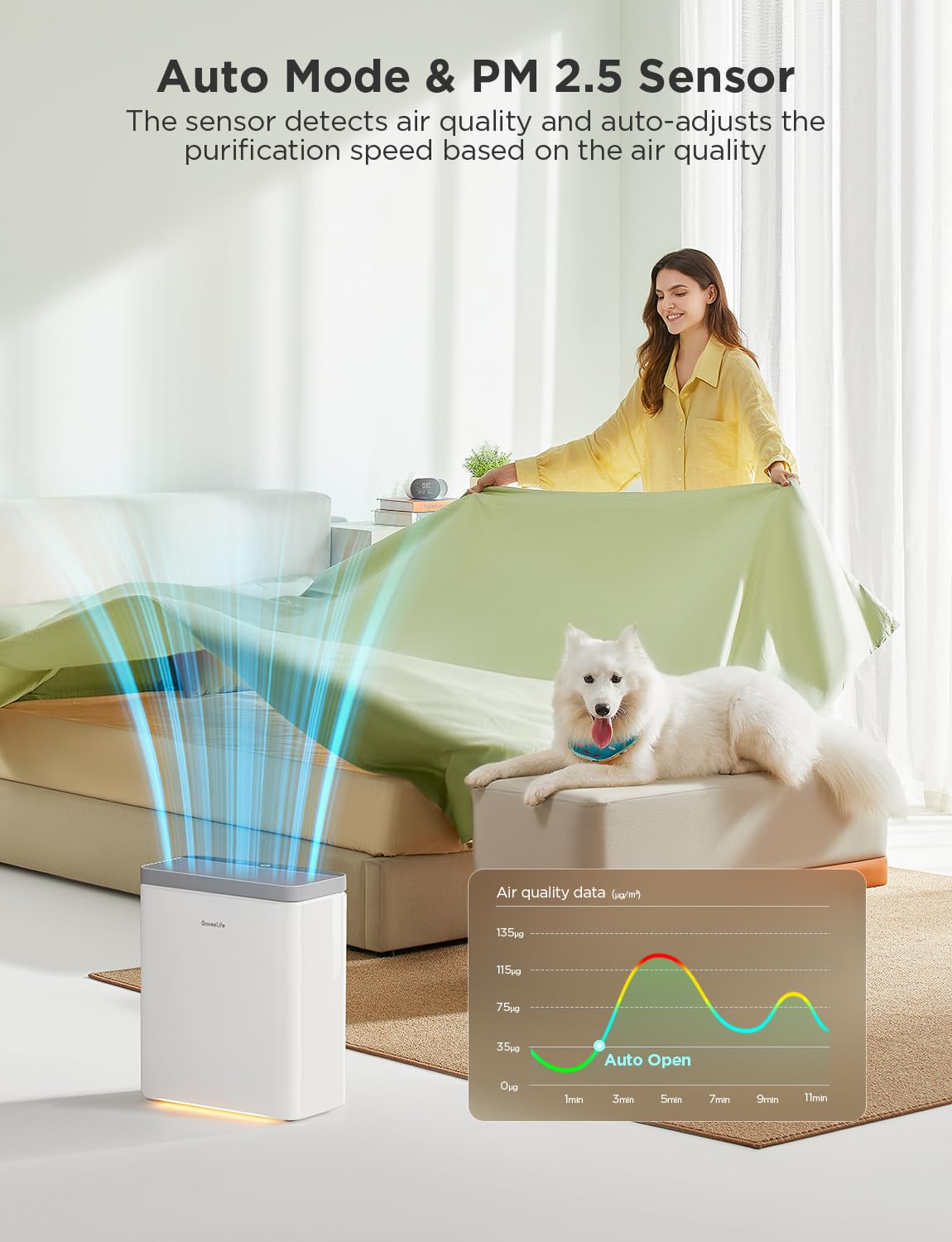 Dehumidifier with Air Purifier O433