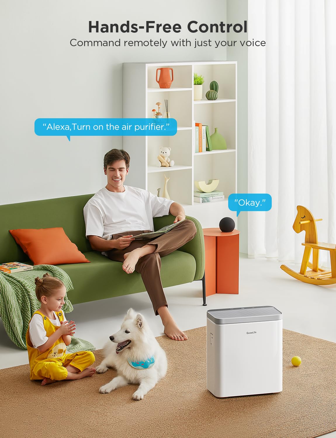 Dehumidifier with Air Purifier O433