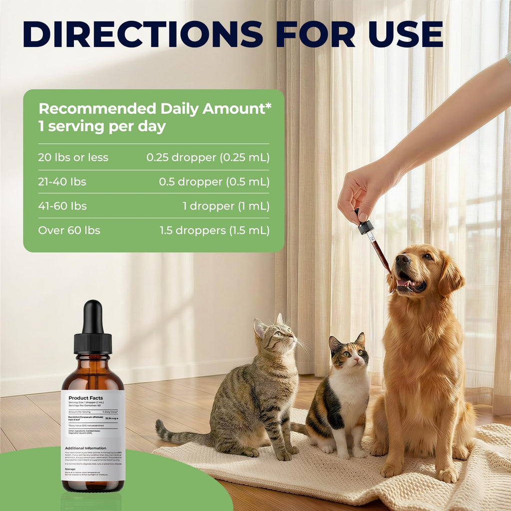 Dandelion Root & Leaf Extract Drops D60972