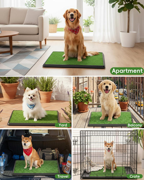 25" x 20" Artificial Grass Dog Potty Training Pad with Tray F798702