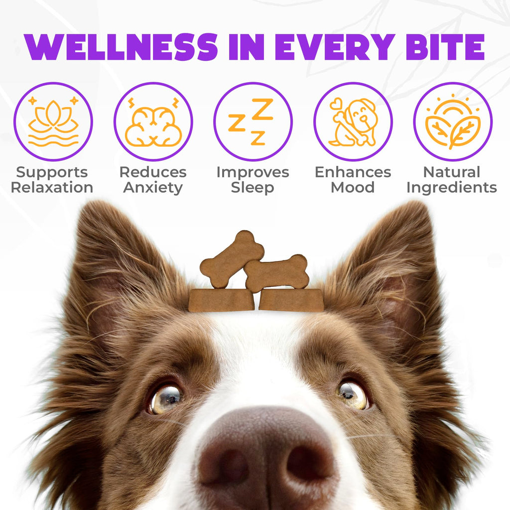 Chicken Flavor 60 Count Calming Chews for Dogs T356873