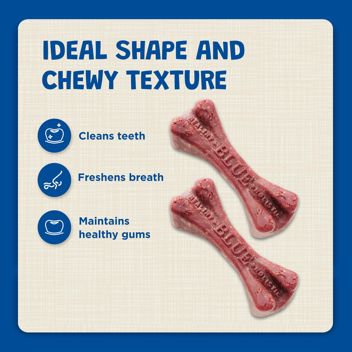 Dental Bones 36 oz G2895