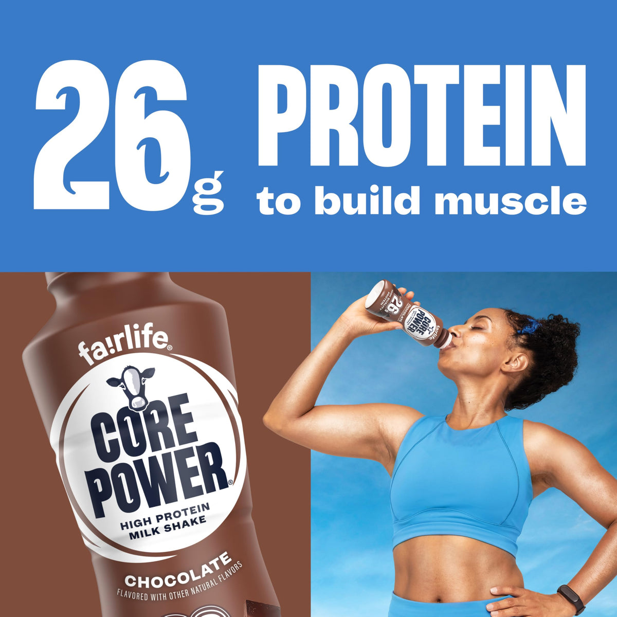 26g Protein Chocolate Milk Shakes 14 Fl Oz (Pack of 12) X496