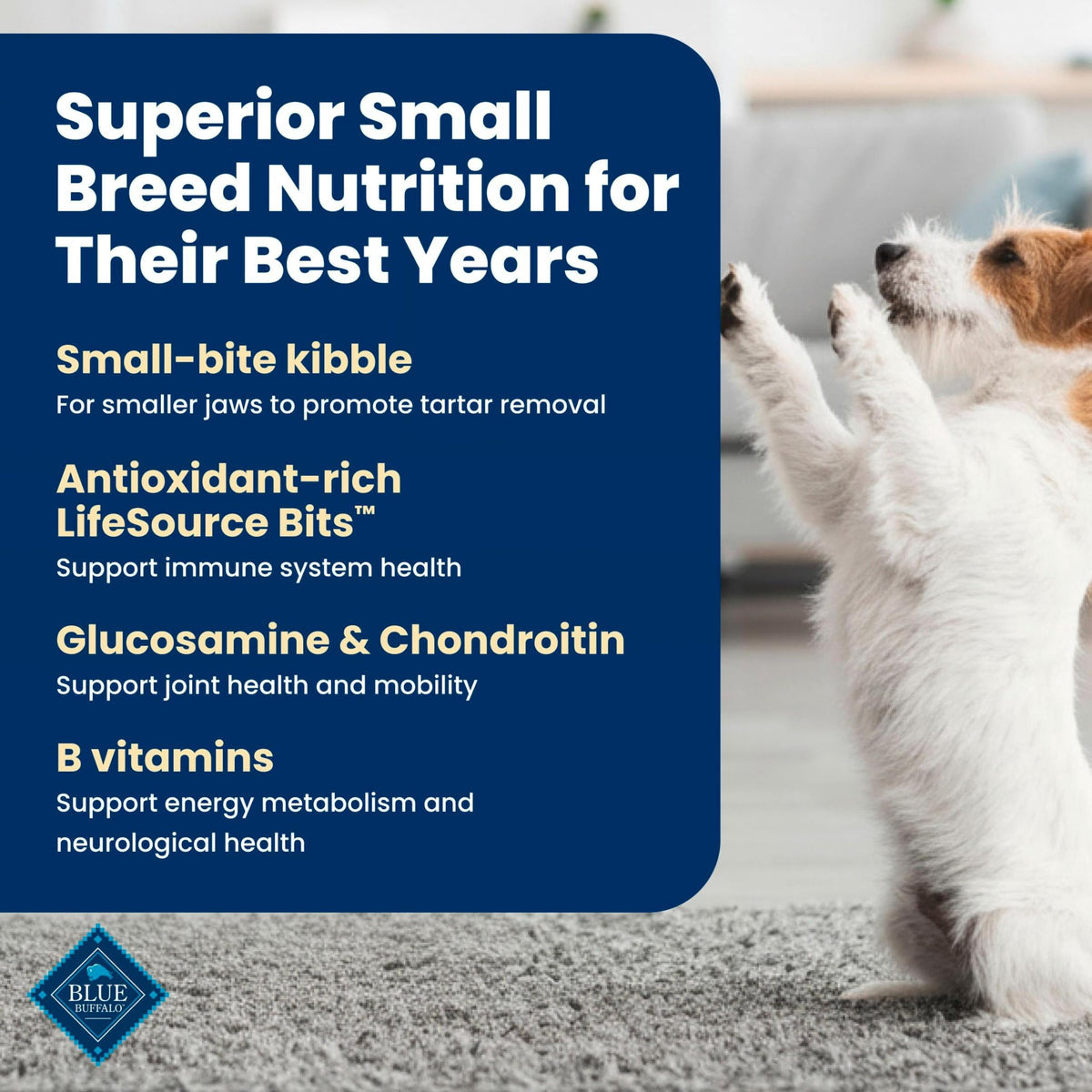 Chicken Small Senior Dog Food 5 lb I943303