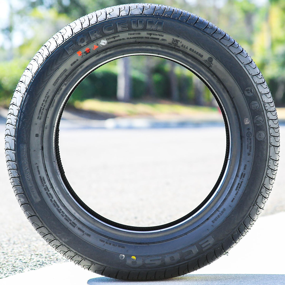 All-Season Touring Radial Tire 205/65R15 94V Black Side Wall E484