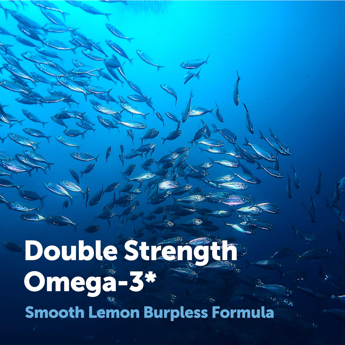 Omega 3 Fish Oil 3,000mg 240 Softgels Lemon Flavored EPA DHA O81128