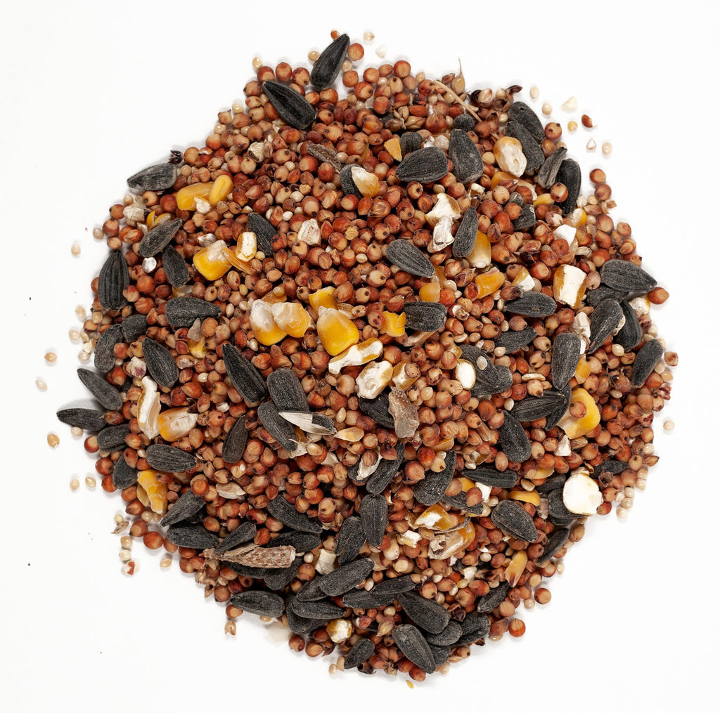 Wild Bird Food with Cherry Flavor, 20-Pound Bag Z8522
