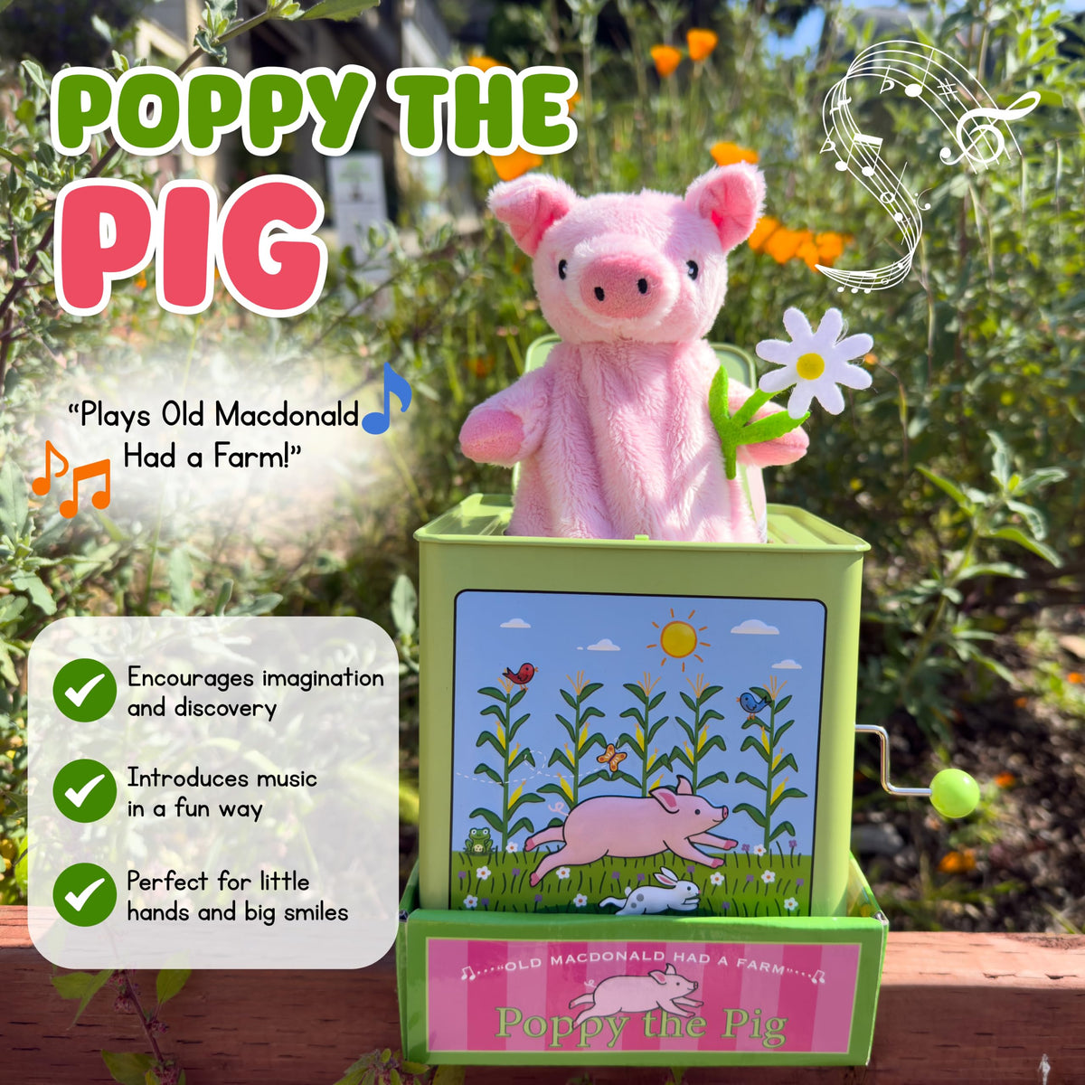 Pig Jack in the Box F5144
